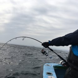 松鶴丸 釣果