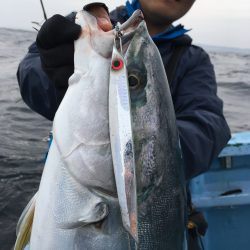 松鶴丸 釣果