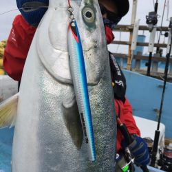 松鶴丸 釣果