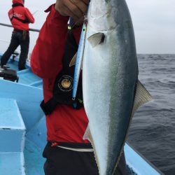 松鶴丸 釣果