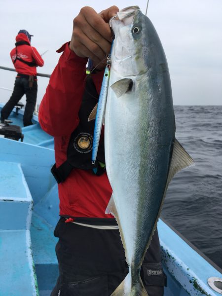 松鶴丸 釣果