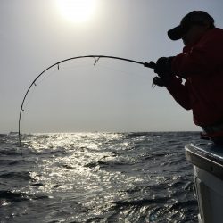 松鶴丸 釣果