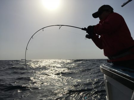 松鶴丸 釣果