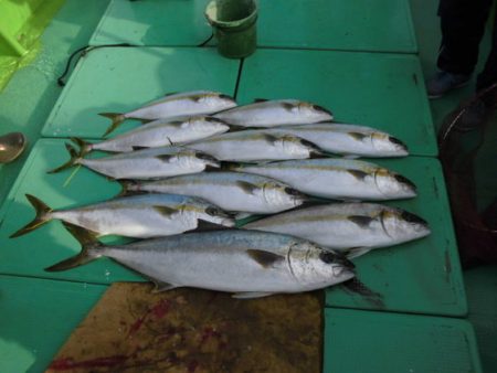 伸興丸 釣果