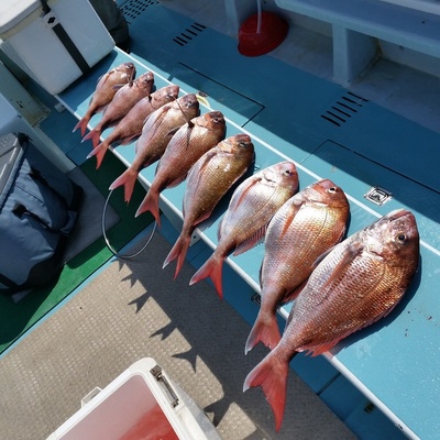 利一丸 釣果