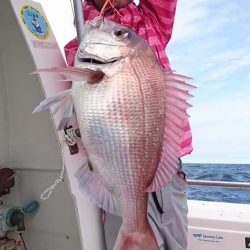 だて丸 釣果