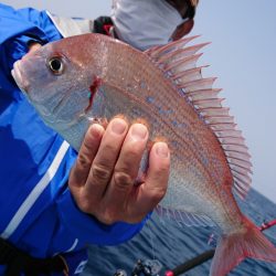 竹宝丸 釣果