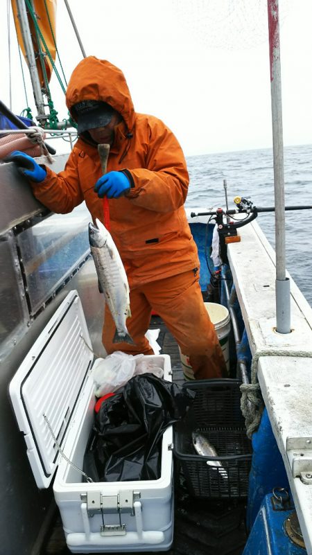 芳陽丸 釣果