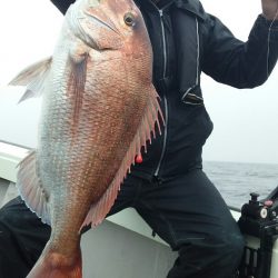 鷹王丸 釣果