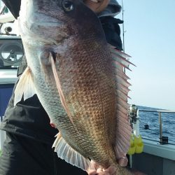 鷹王丸 釣果