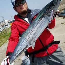 みやけ丸 釣果