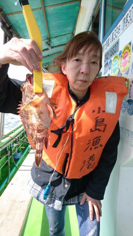 小島丸 釣果