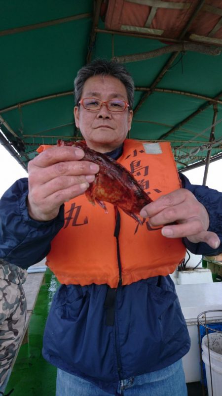 小島丸 釣果