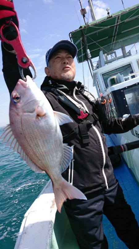 だて丸 釣果