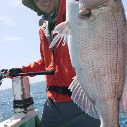 だて丸 釣果