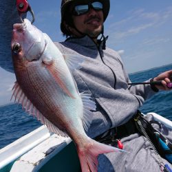 だて丸 釣果