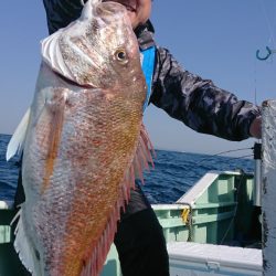 だて丸 釣果