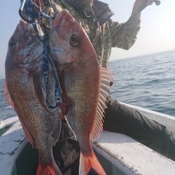 だて丸 釣果