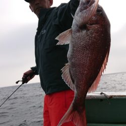 だて丸 釣果