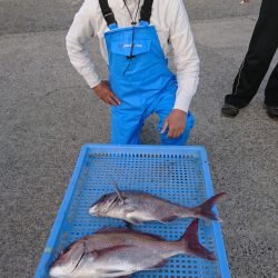 第三共栄丸 釣果