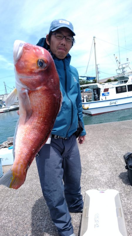 富士丸 釣果