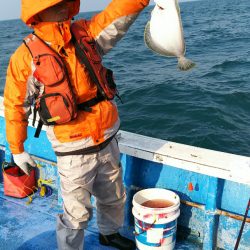 芳陽丸 釣果