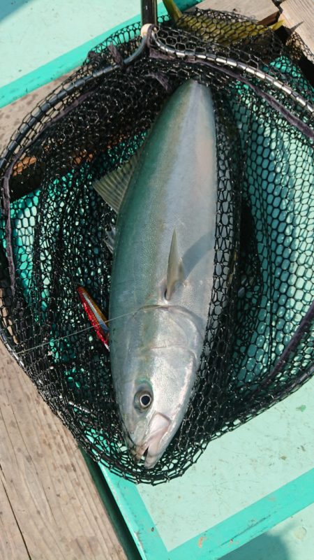 和栄丸 釣果