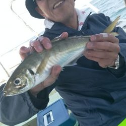 小島丸 釣果