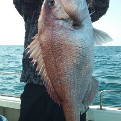 鷹王丸 釣果