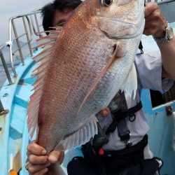 みやけ丸 釣果