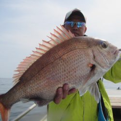 伸成丸 釣果