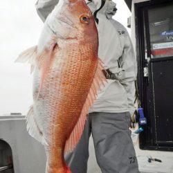 ブルースフィッシングサービス 釣果