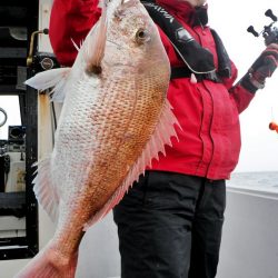 ブルースフィッシングサービス 釣果