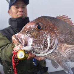 渡船屋たにぐち 釣果