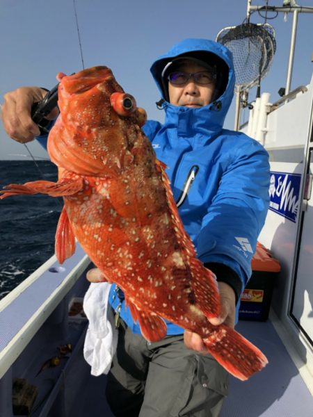 新幸丸 釣果