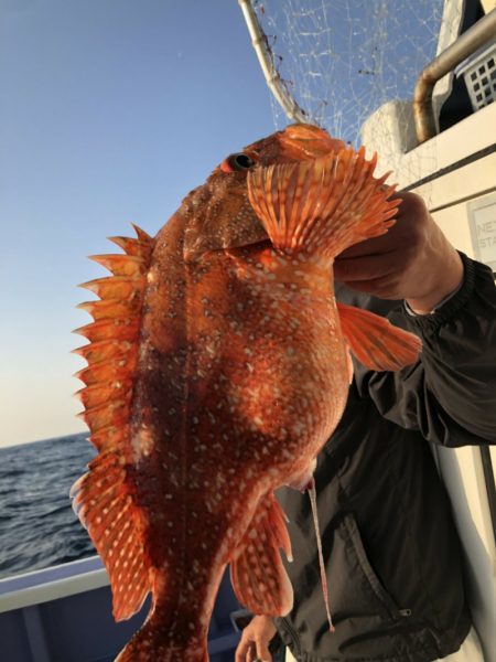 新幸丸 釣果