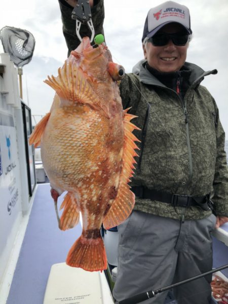 新幸丸 釣果