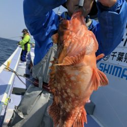 新幸丸 釣果