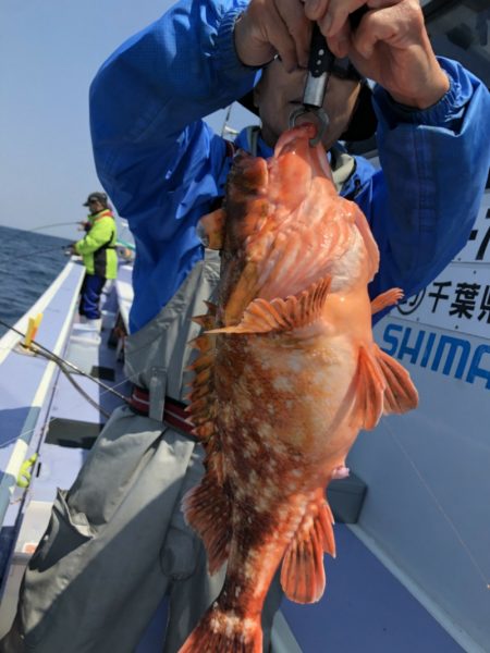 新幸丸 釣果