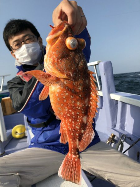 新幸丸 釣果