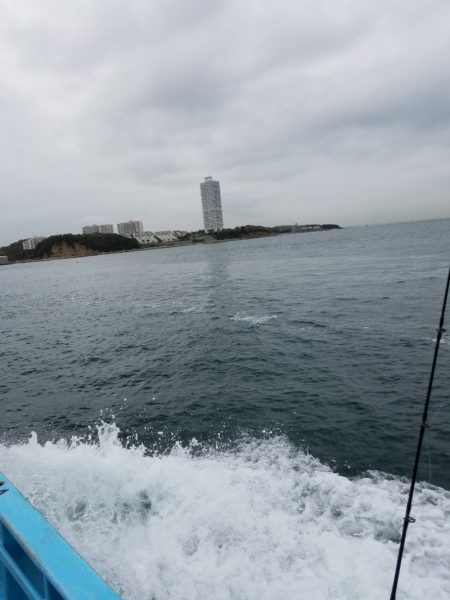 みやけ丸 釣果