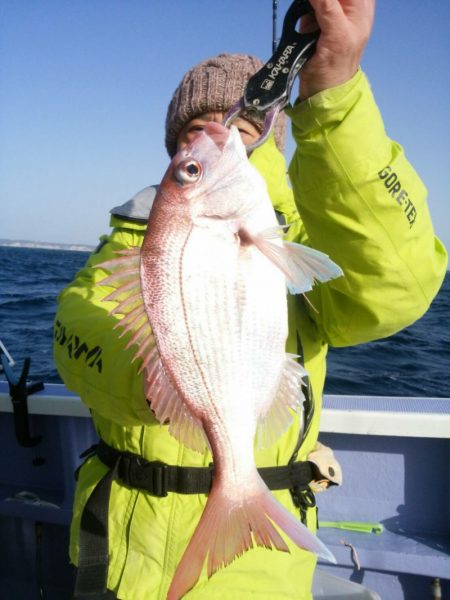 新幸丸 釣果