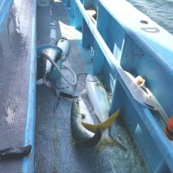 みやけ丸 釣果