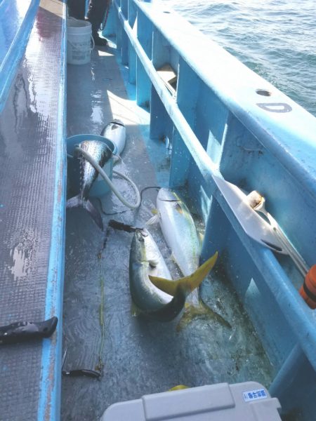 みやけ丸 釣果