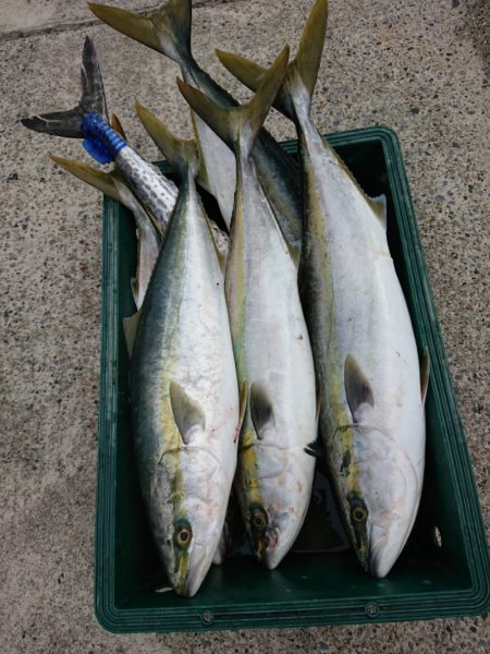 ありもと丸 釣果