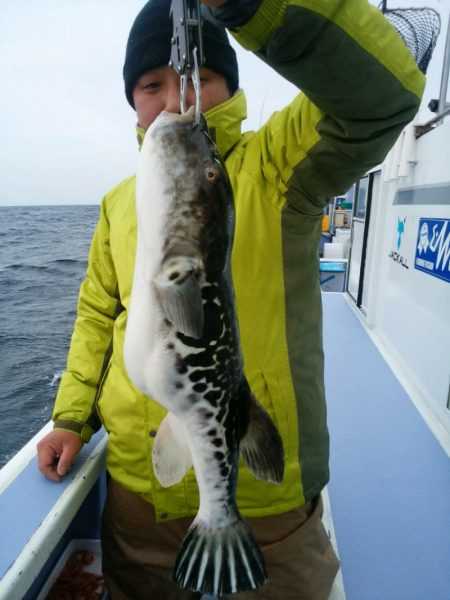 新幸丸 釣果