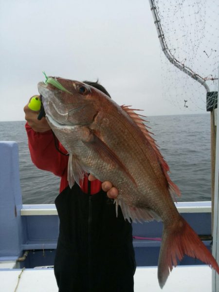 新幸丸 釣果