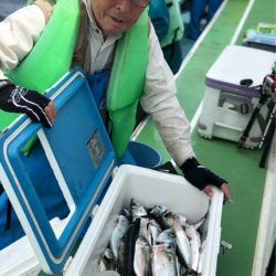 丸万釣船 釣果