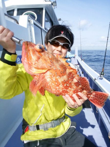 新幸丸 釣果