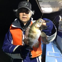 ヤザワ渡船 釣果